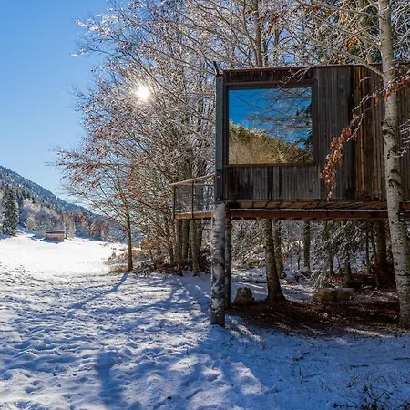 Perchee La Resilience Sur Le Plateau Du Vercors * Autrans-Meaudre-en-Vercors