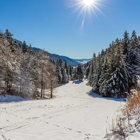 Perchee La Resilience Sur Le Plateau Du Vercors Autrans-Meaudre-en-Vercors