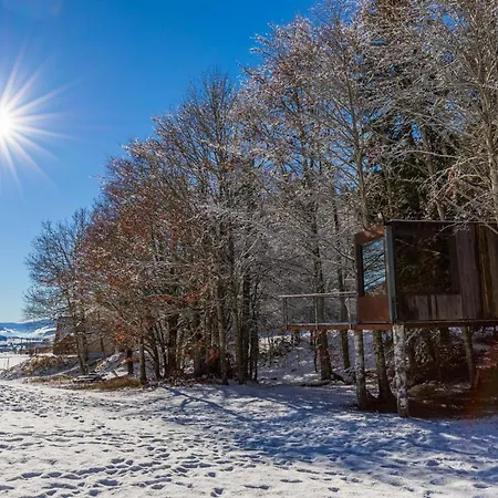 Perchee La Resilience Sur Le Plateau Du Vercors *