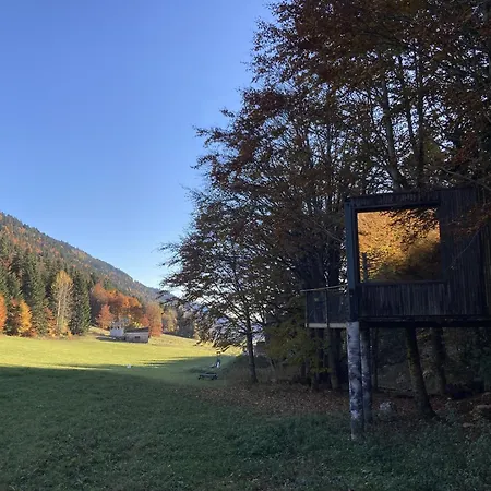 Perchee La Resilience Sur Le Plateau Du Vercors * Autrans-Meaudre-en-Vercors